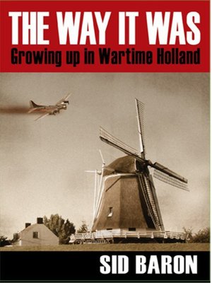 cover image of The Way It Was